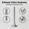 3417779-Exhaust Valve-Cummins