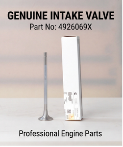 4926069-Intake Valve-Cummins