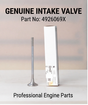 4926069-Intake Valve-Cummins