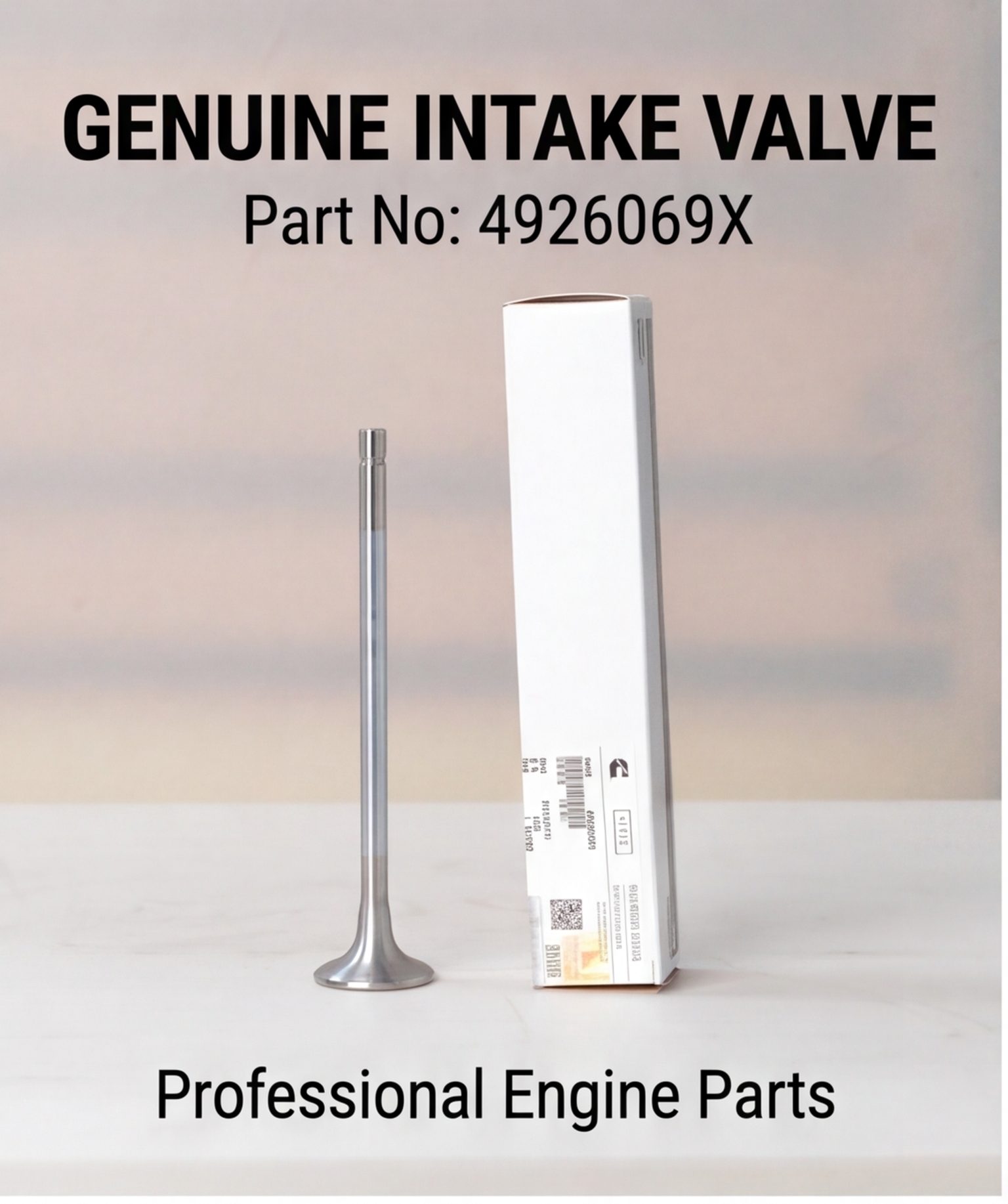 4926069-Intake Valve-Cummins