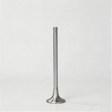 3417779-Exhaust Valve-Cummins