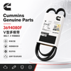 3694080F V-Ribbed Belt for Cummins Engine Parts-Cummins