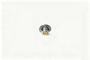 C5256423 - Thermostat-Cummins