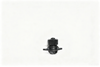 Water Pump 4891252L-Cummins