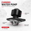 C4935793 Water Pump-Cummins