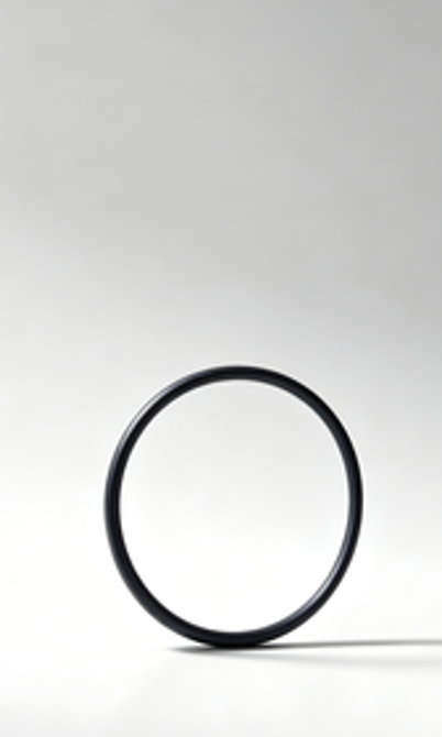 3330537 O-Ring Seal Cummins