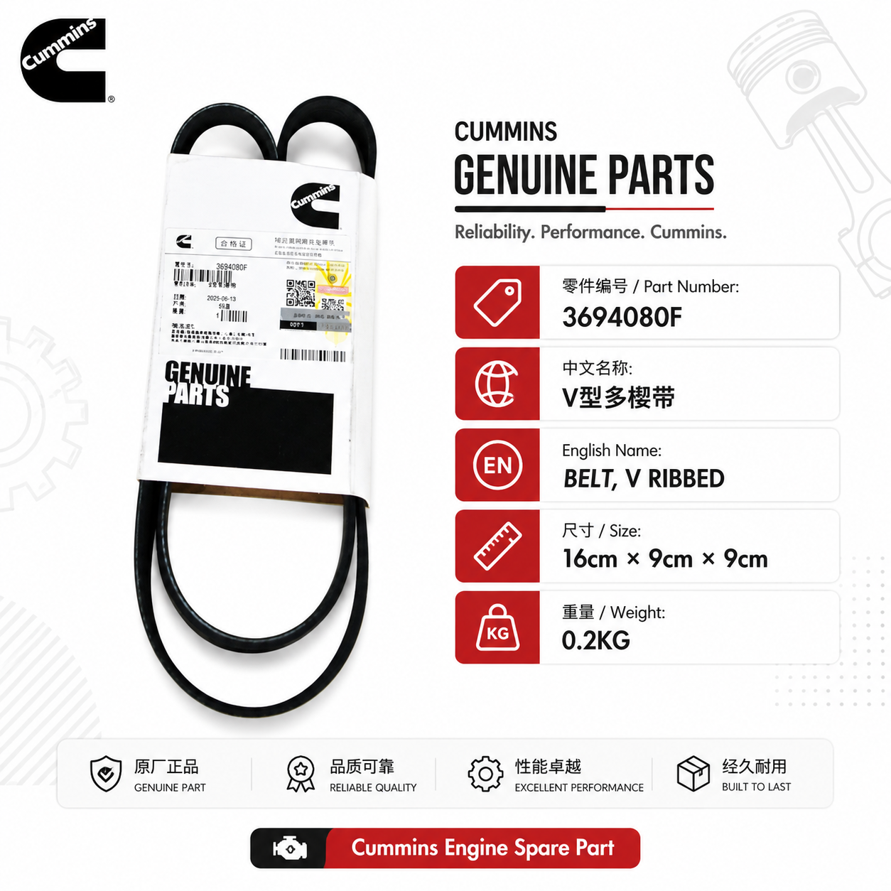 3694080F V-Ribbed Belt for Cummins Engine Parts-Cummins