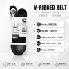 6391224L-V-Ribbed Belt for Cummins Engine Parts-Cummins