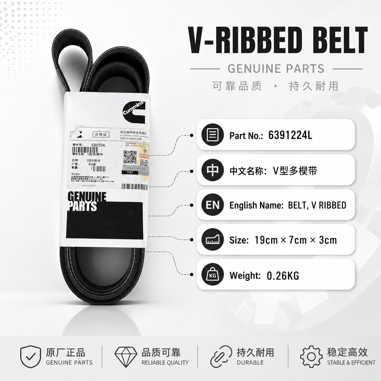 6391224L-V-Ribbed Belt for Cummins Engine Parts-Cummins
