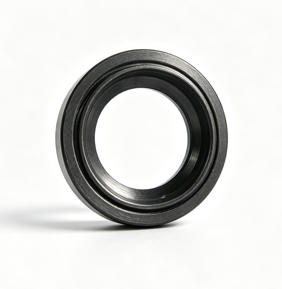 5689761L Injector Seal Gasket